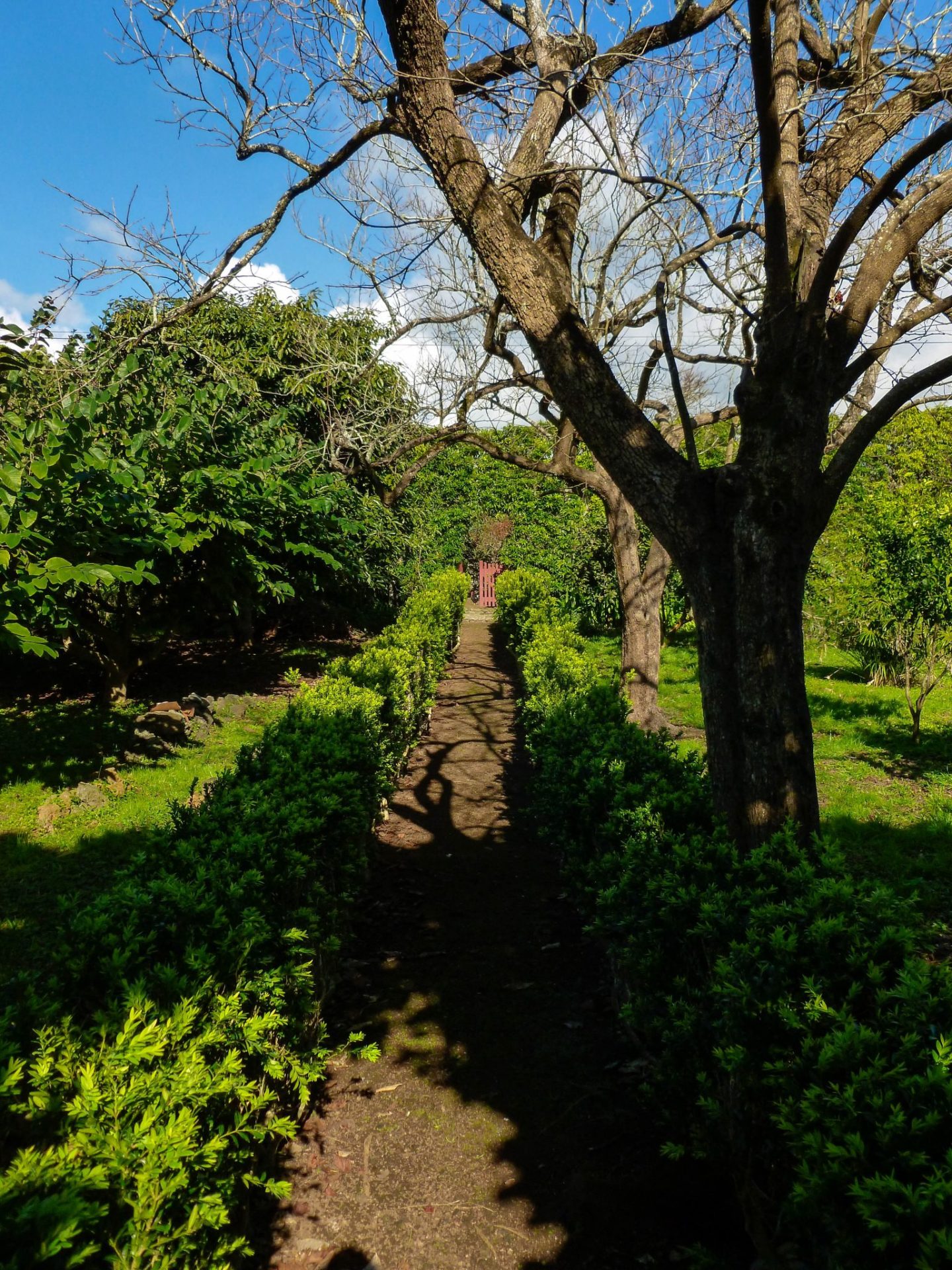 The-Quinta-orchard-and-garden-2
