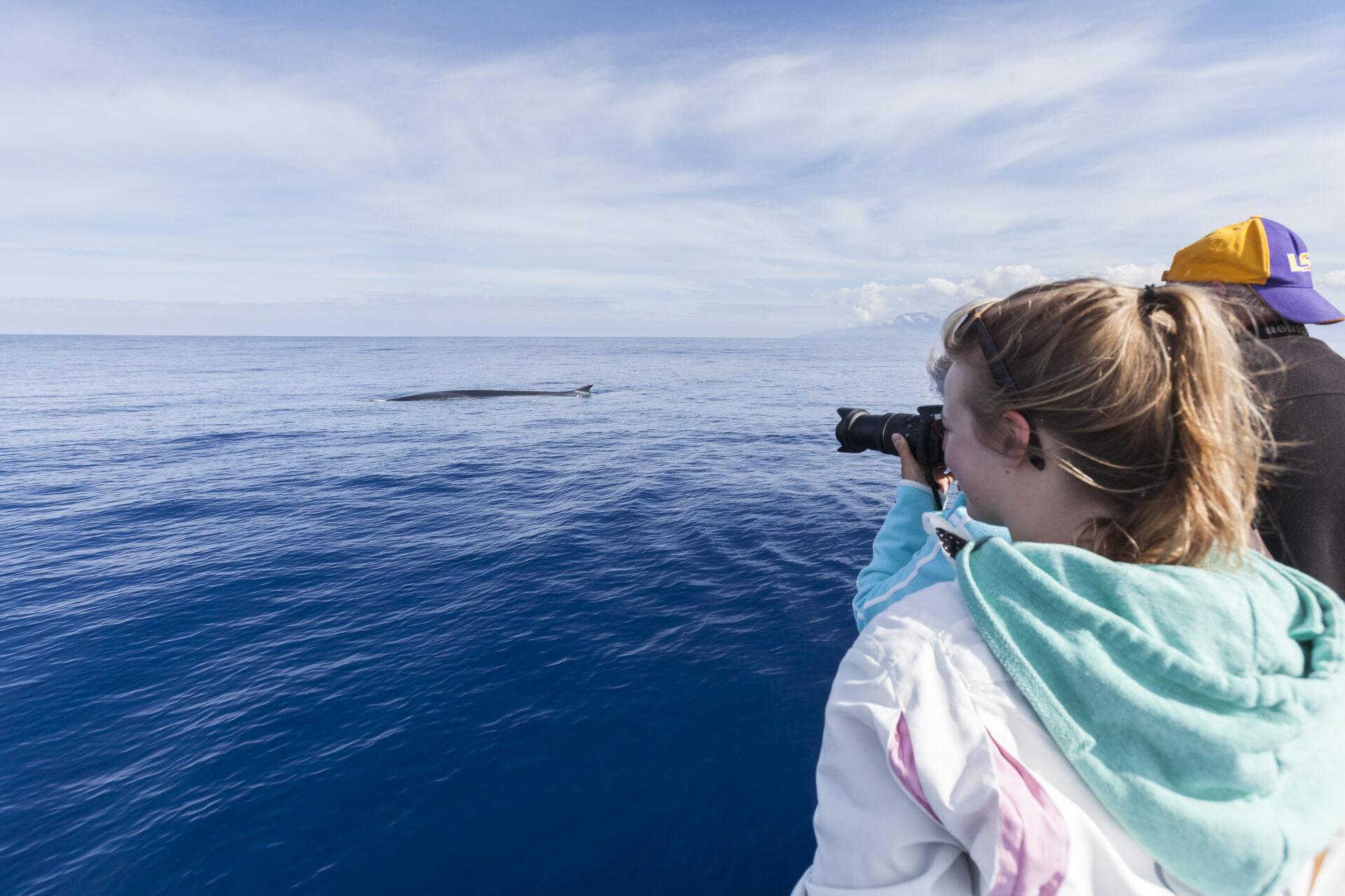 Wal- und Delfinbeobachtung