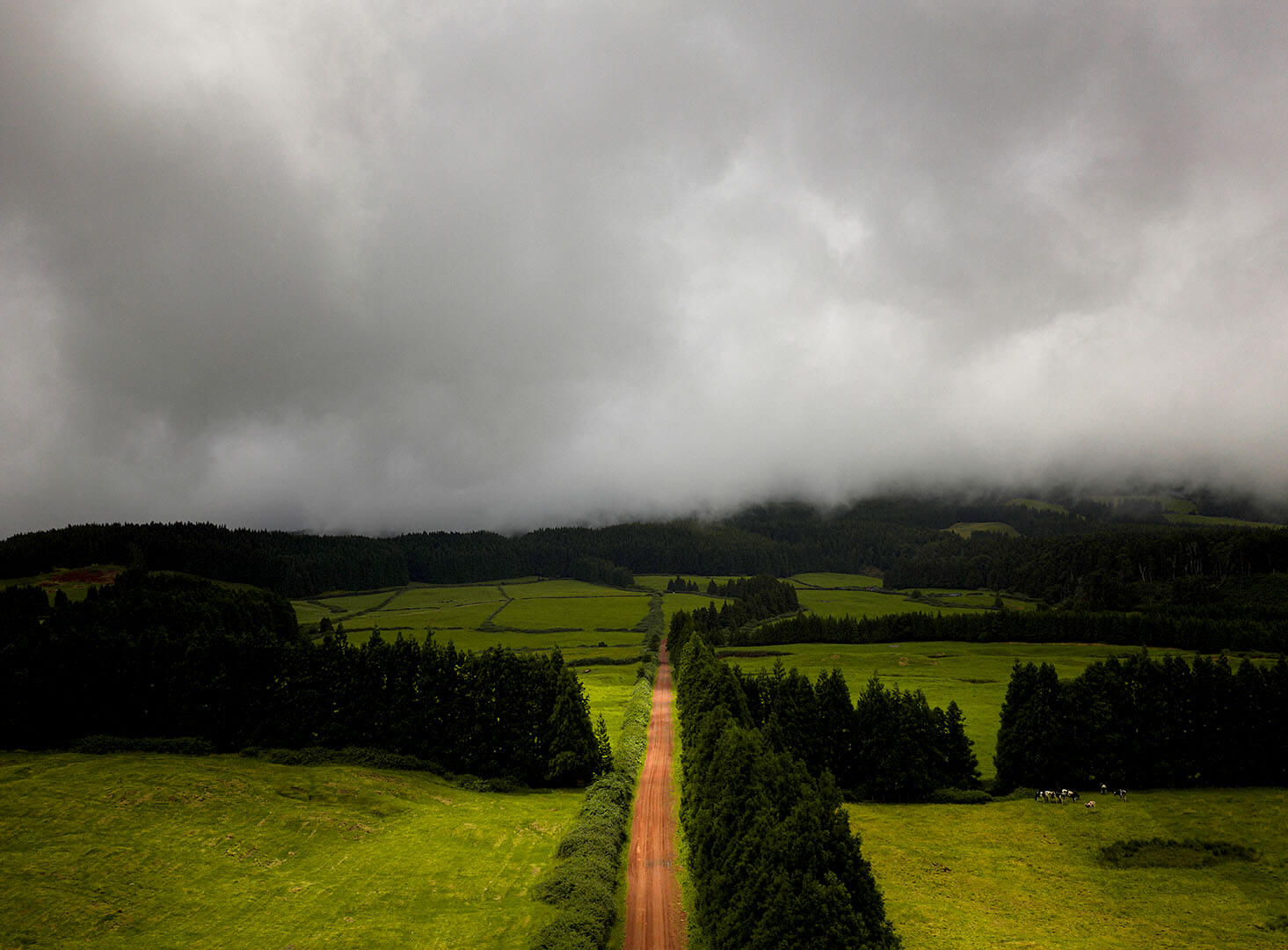 estrada_nuvens_floresta