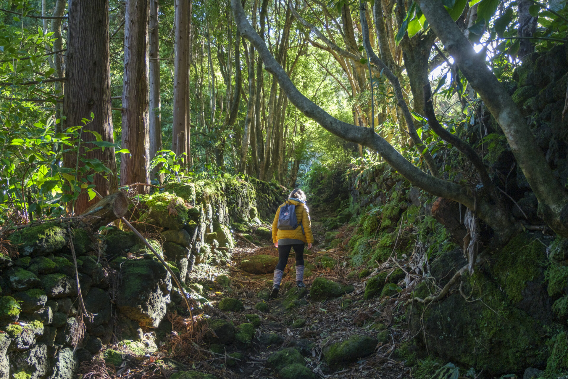 Terceira Island Trails